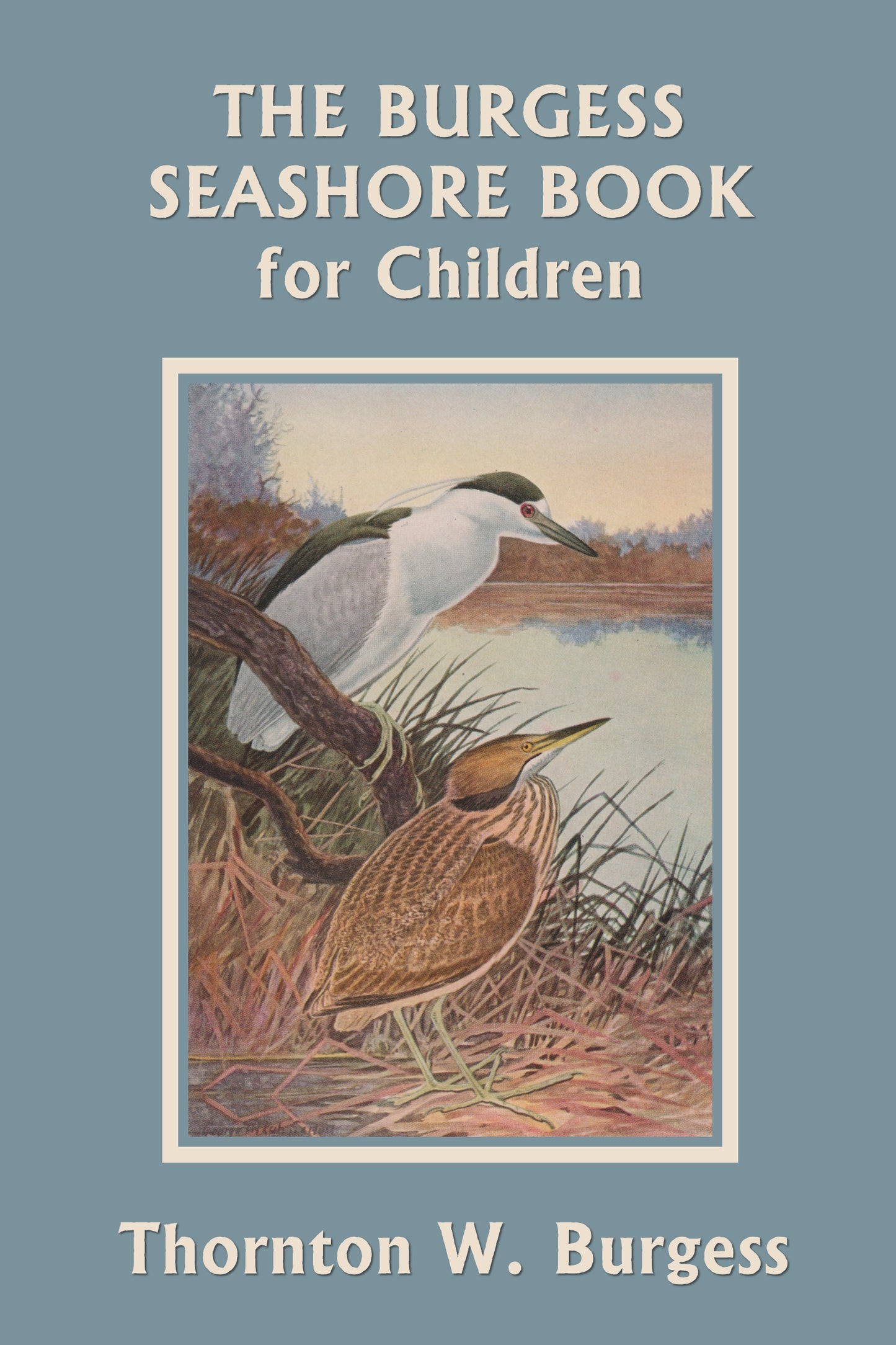 The Burgess Seashore Book for Children: Black & White Edition