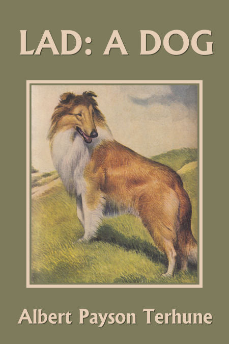 Lad, a Dog