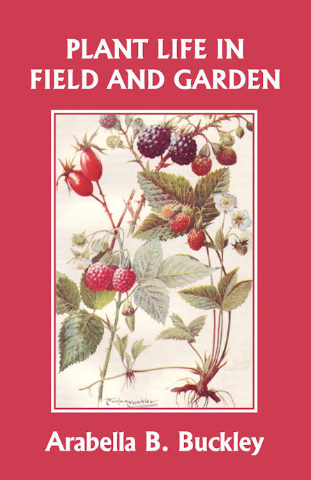 Plant Life in Field and Garden