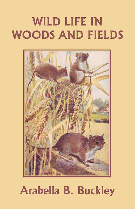 Wild Life in Woods and Fields
