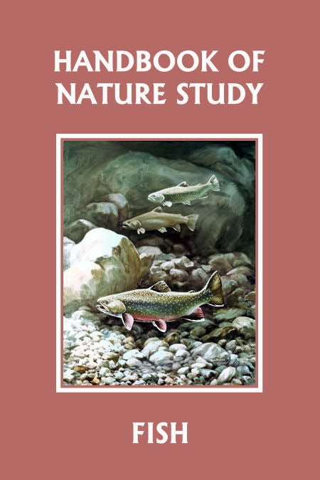 Handbook of Nature Study: Fish