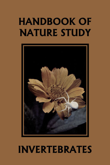 Handbook of Nature Study: Invertebrates