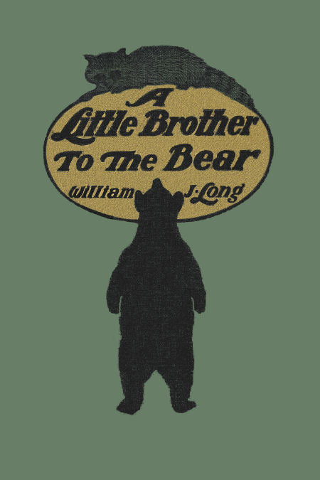 A Little Brother to the Bear