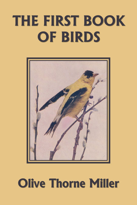 The First Book of Birds
