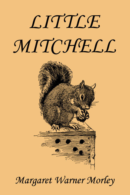 Little Mitchell: The Story of a Mountain Squirrel