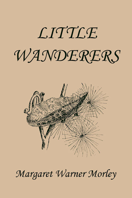 Little Wanderers