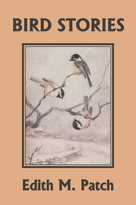 Bird Stories