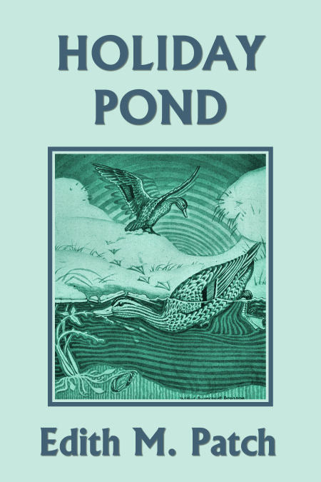 Holiday Pond