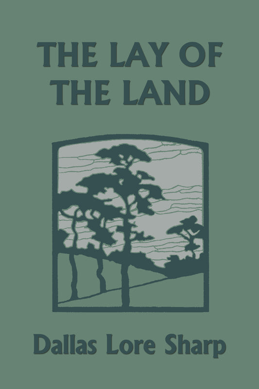 The Lay of the Land